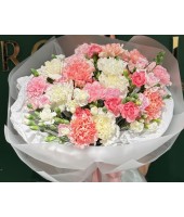Діантуси FloRoom