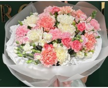 Діантуси (8)