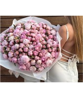 Півонії FloRoom