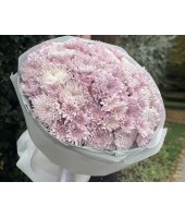 Хризантеми FloRoom
