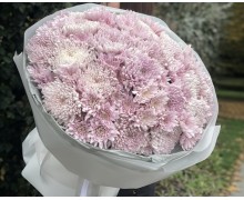 Хризантеми (9)