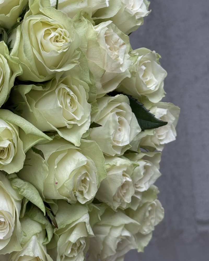 White rose 50 cm Floroom