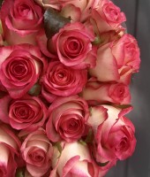 Rose "Jumiliya" 60 cm