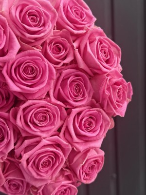 Троянда Аква 50 см