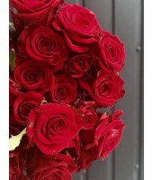Red rose Grand Prix 60 cm