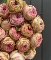 Rose Blossom Bubbles 30 cm