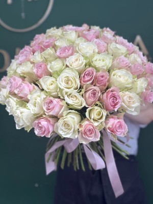 Bouquet of 101 white and pink roses, tied with a ribbon