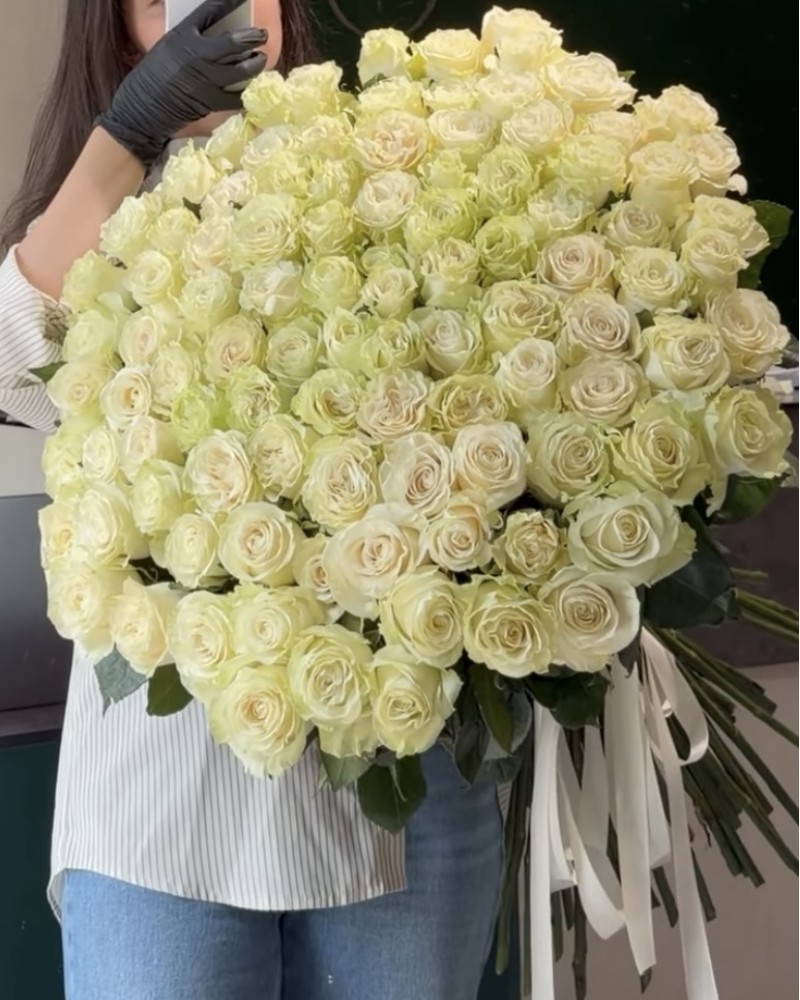 101  whites of tenderness without words