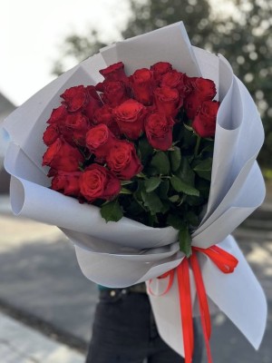 Червоні троянди Експлорер 110 см