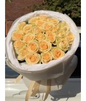 Bouquet of 25 Pach Avalanche roses