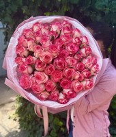 51  rose "Jumilia"40- 50 cm