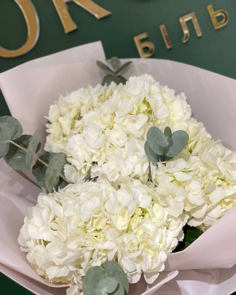 Bouquet of 3 white hydrangeas and eucalyptus