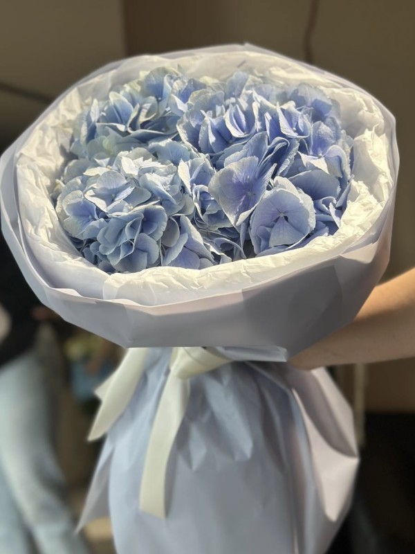 Bouquet of 3 white hydrangeas and eucalyptus