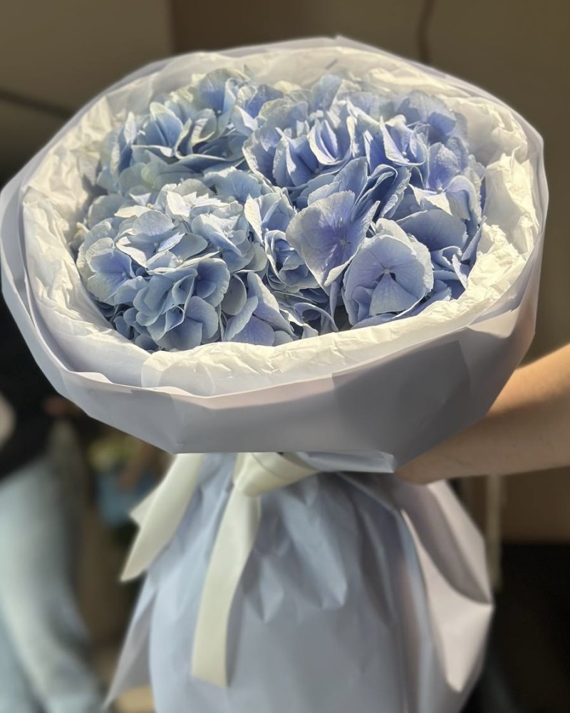 Bouquet of 3 white hydrangeas and eucalyptus
