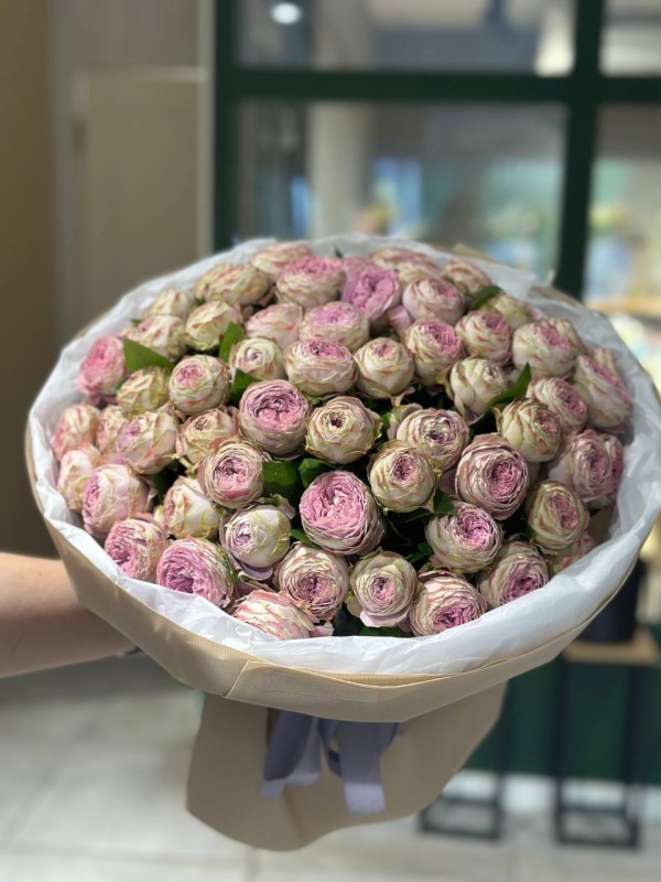 65 троянд  Блоссом Баблс  Floroom