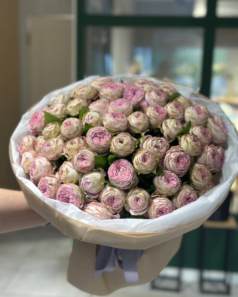 65 троянд  Блоссом Баблс  Floroom