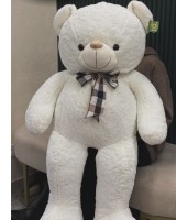 teddy bear White