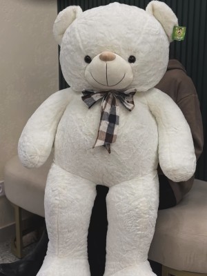teddy bear White