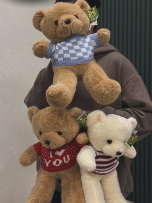 Teddy bear in a sweater